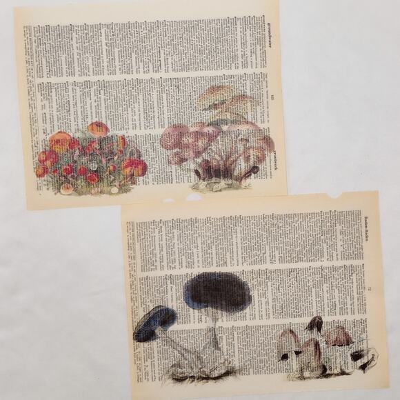 Mushroom Dictionary Prints, Colorful Mushroom Prints, Book Page Prints - Picture 5 of 6